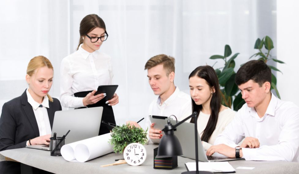 How Security Developers Protect Applications in Outsourced Projects